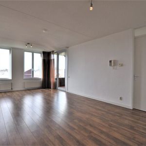 Paulus Potterstraat - Foto 2