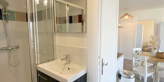 BRISOUT DE BARNEVILLE Colocation 3 chambres à Rouen - Photo 3