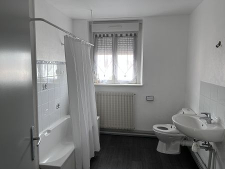 Location Appartement 7 pièces 115m² MULHOUSE 68100 - Photo 4