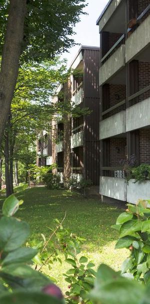 3 1/2 Ste-Foy - Tout inclus - près du cégep Garneau - décembre - Photo 1