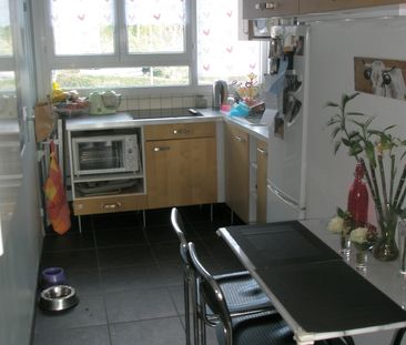 Location Appartement 3 pièces 64m² PALAISEAU 91120 - Photo 6