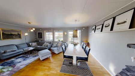 Vega - 6rok - tillsv - 20.000kr/mån - Foto 2