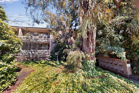 12/47 Rose Street, Box Hill VIC 3128 - Apartment For Rent | Domain - Photo 2