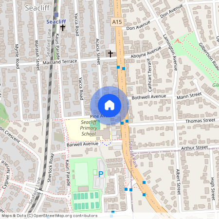 2 Pine Avenue, SA 5049, Seacliff