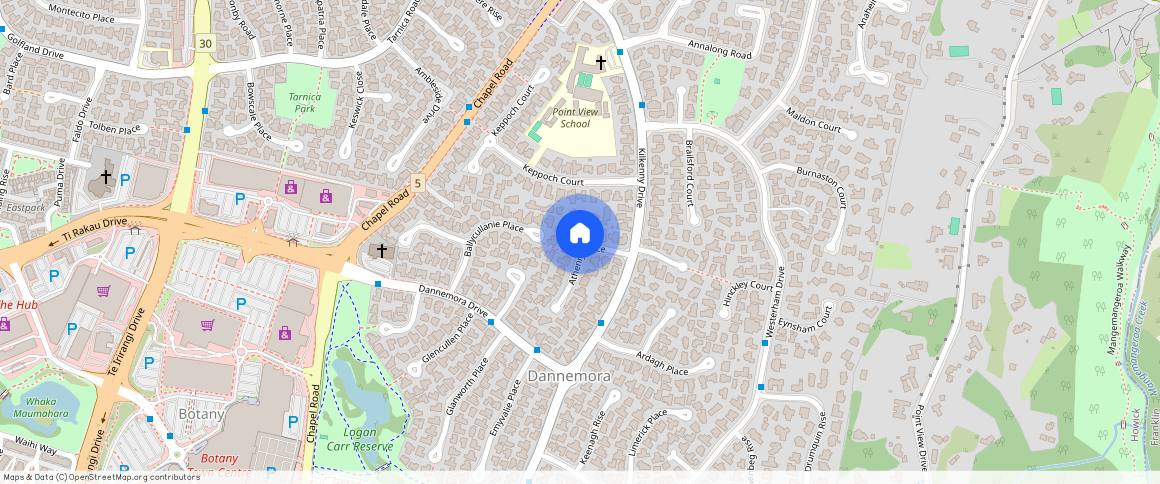 ** Athenry Place, Manukau City, Dannemora