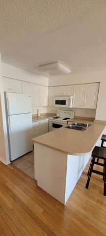 For Lease - 9 Northern Heights Drive Unit# 501, Richmond Hill, Ontario - Photo 3