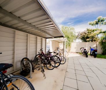 Standard Studio - Photo 1