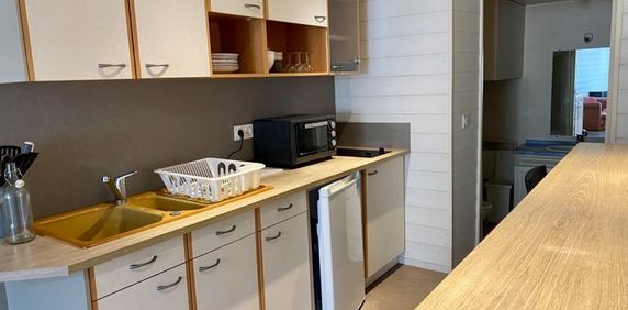 Location Appartement 1 pièce 25m² AUBIERE 63170 - Photo 2