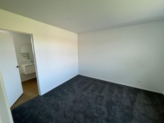 Brand new 3 bedroom in Vogeltown - Photo 1