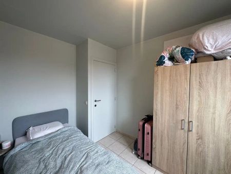 RESIDENTIE DISTELVINK - foto 5