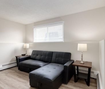 Renovated Suite - 2 Bedroom - Photo 3