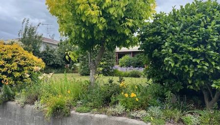 Executive Living in Waihi - Photo 4