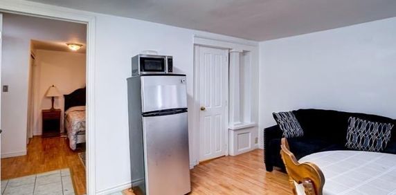Appartement 1 Chambre à Louer - Photo 2