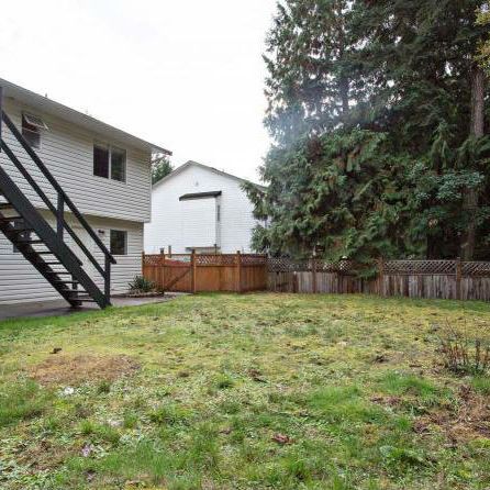 $1,500 / 1brm – NEW!!! Bright Lower Suite 1 bath Suite (Nanaimo) - Photo 3