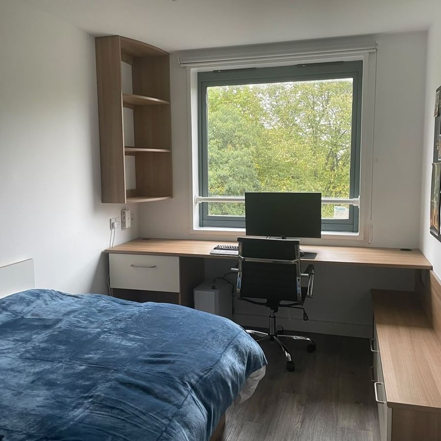 Room in a Shared Flat, London, SE16 - Photo 1