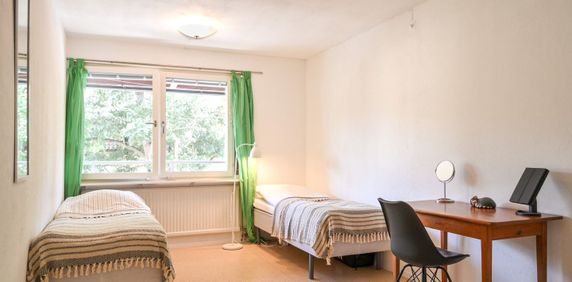 Skolkvior, Klintehamn - Foto 2