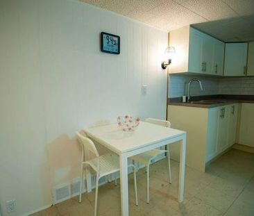 Studio Basement with Separate Entrance for Rent - Photo 3