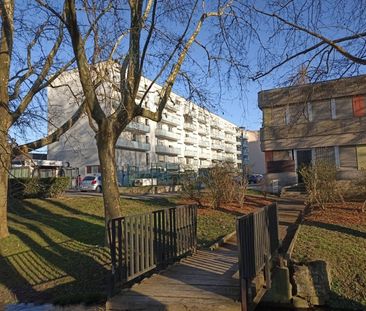 Appartement - ST LOUIS - 50m² - 1 chambre - Photo 3