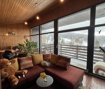 Les Savagnières, Charming 4.5 room chalet with garden and terrace - Photo 2