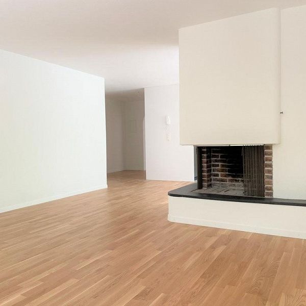 Erstvermietung, lichtdurchflutete Wohnung zu vermieten - Foto 1