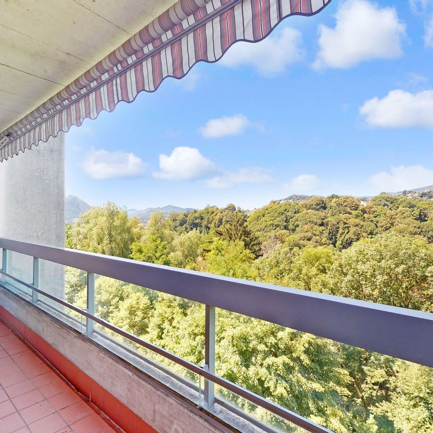 A due passi dalla città: Appartamento di 2.5 locali immerso nel verde - Foto 1