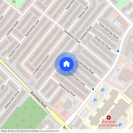 55 Velvet Grass Lane Unit# A, Brampton