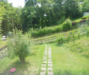 Charmante maison dans un écrin de verdure à louer à Lancy - Photo 5
