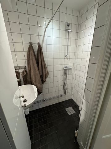 Engelbrektsgatan, Borås - Photo 5