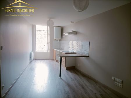 Location Appartement 1 pièce 36m² CHARLIEU 42190 - Photo 4