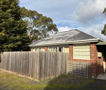 82C Gibson Street, Kings Meadows - Photo 6