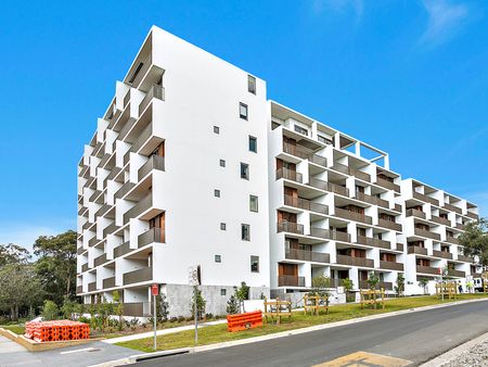 BA205/6-18 University Road, Miranda NSW 2228 - Apartment For Rent | Domain - Photo 5