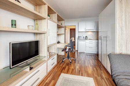 Nice furnished rental in Au-Haidhausen - Photo 5