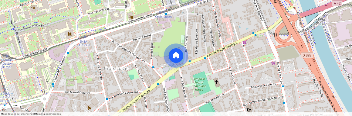 32 RUE DU LUIZET, VILLEURBANNE Einstein-Salengro