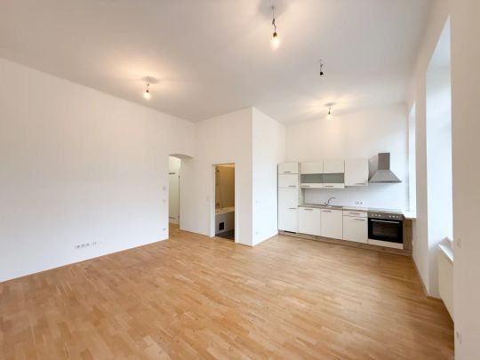 3 Monate geringerer HMZ! Helle und moderne 2-Zimmer Wohnung in U-Bahn Nähe zu vermieten! - Photo 1