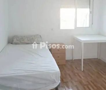 Piso en alquiler en Haygon-Universidad - Foto 2