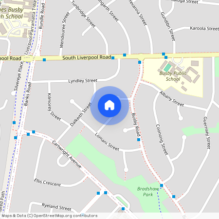 11 Dimby Place, NSW 2168, Busby