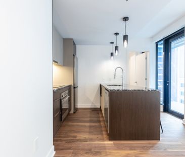 Condo for rent, Montréal (Ville-Marie) - Photo 4