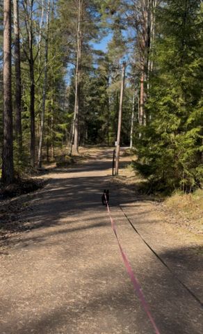 Flintdolksgatan, Västerås - Photo 3