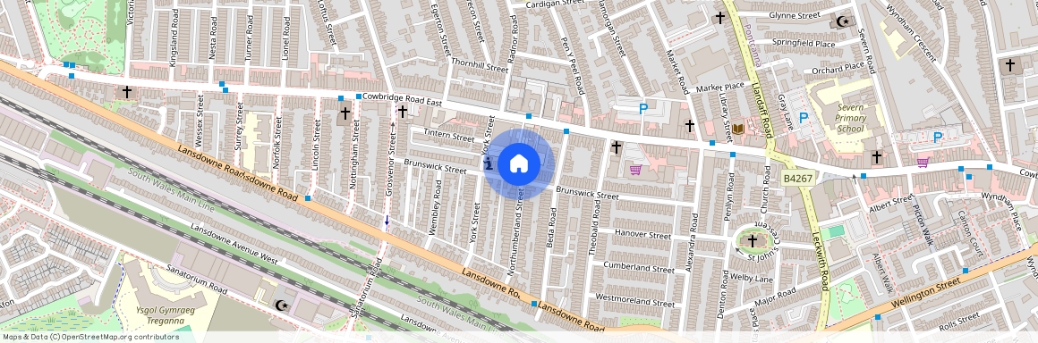 Brunswick Street, Canton, Cardiff, CF5