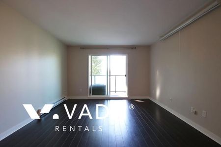 Unfurnished, 1 Bed 1 Bath Apartment For Rent - Photo 2