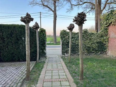 Molenveld 73 - Photo 4