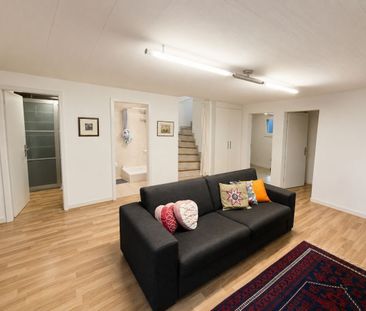 Carouge - Maison familiale avec jardin, sous-sol aménagé et garage ... - Foto 4
