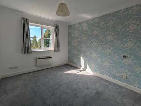 Selworth Lane, Soberton, SO32 - Photo 4