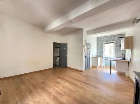 Location appartement rénové 1 pièce 28.7 m² à Montpellier (34000) - Photo 3