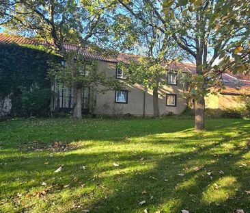 1 bed studio flat to rent in SR2 - Photo 6