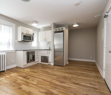 54 Maitland Street - Photo 1