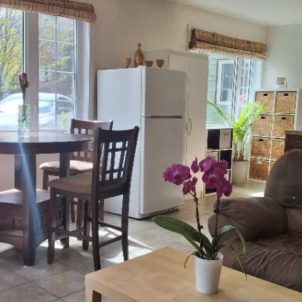 Appartement 4 1/2 MEUBLE St Ferreol les Neiges à louer - Photo 1