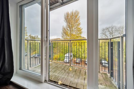 Haughview Terrace - Photo 3