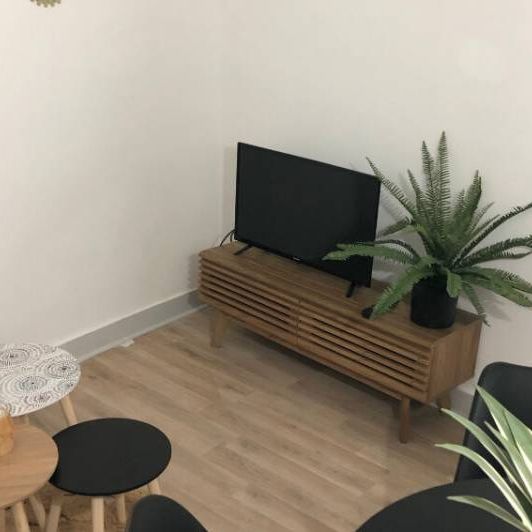 Type II centre ville proche Hôtel Fumé - Photo 1