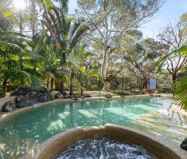 21 Prahan Avenue, Frenchs Forest NSW 2086 - House For Rent | Domain - Photo 2